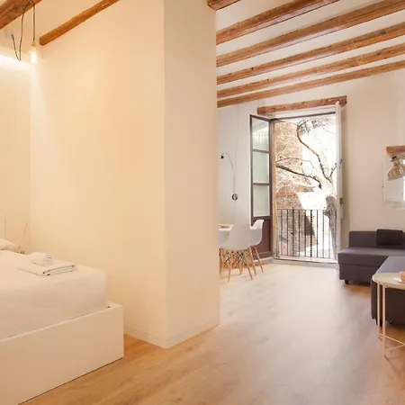 Alsina - Historical Center - Barrio Gotico * Barcelona