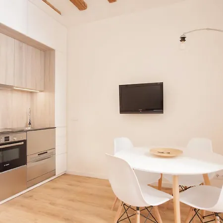 Apartment Alsina - Historical Center - Barrio Gotico *