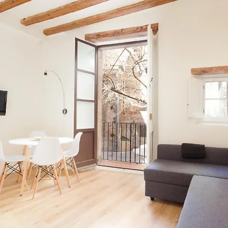 Apartment Alsina - Historical Center - Barrio Gotico Barcelona